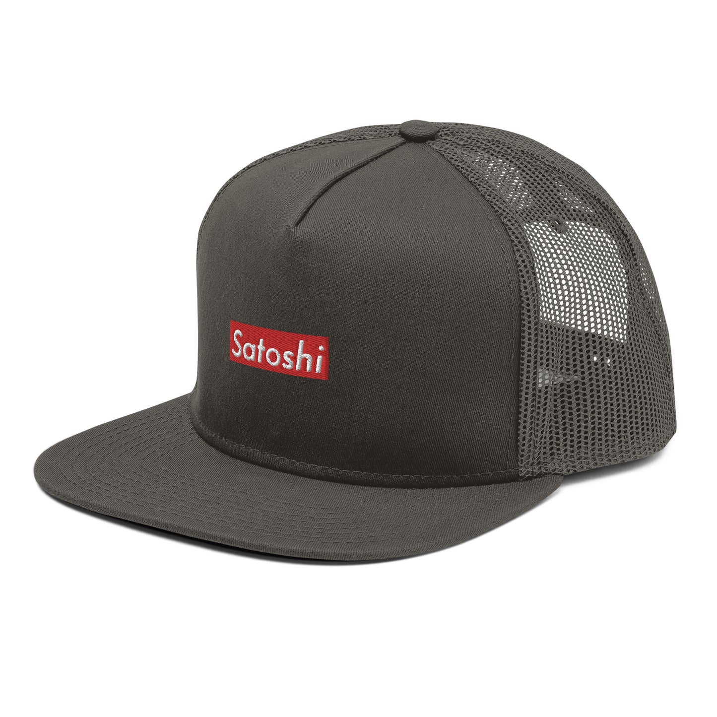 Satoshi Mesh Snapback Hat